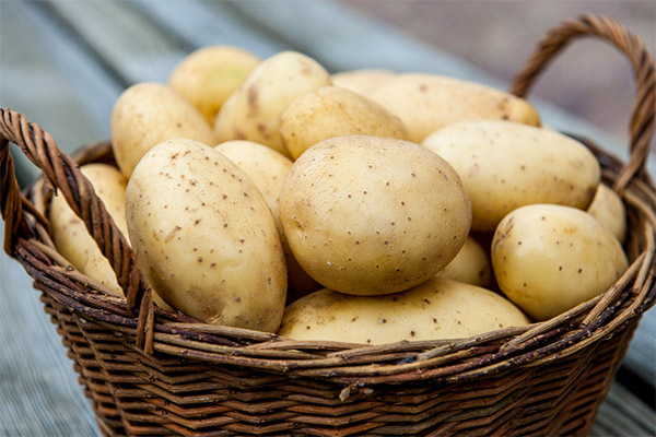 Wie man Kartoffeln auswählt und lagert