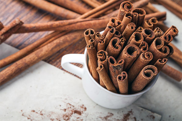 Comment choisir et conserver la cannelle