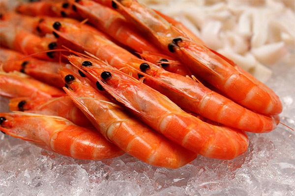 Comment choisir et conserver les crevettes