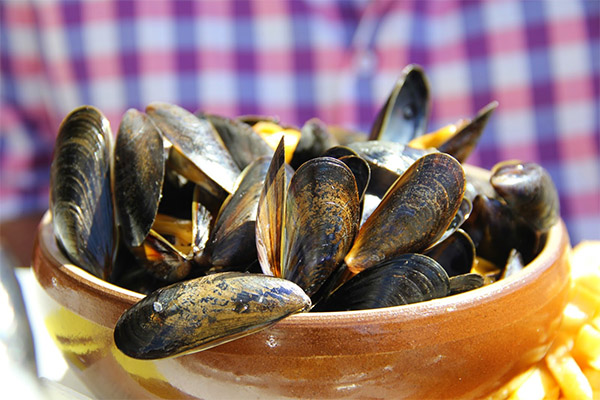 Wie wählt man Miesmuscheln aus und lagert sie?