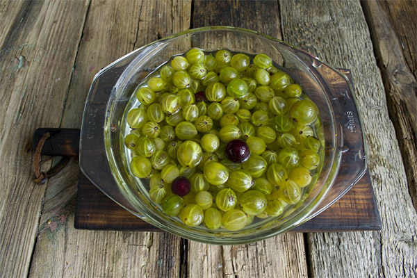 Comment choisir la groseille à maquereau pour la confiture