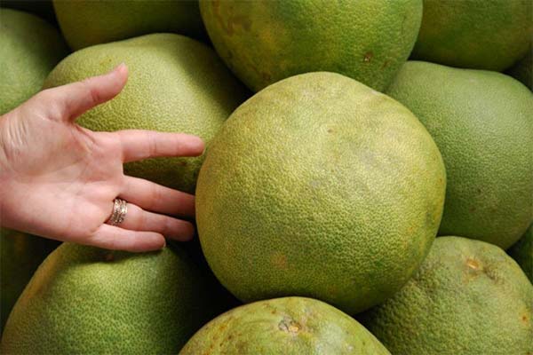 Wie wählt man eine reife Pomelo im Geschäft aus?