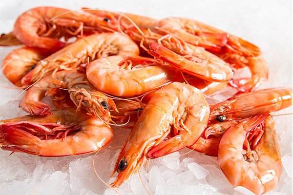 Les crevettes en médecine