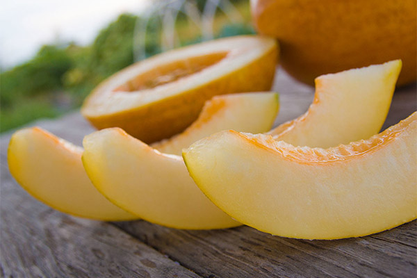 Darf man Hunden Melone geben