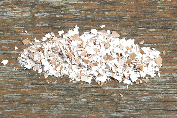 Peut-on donner de la coquille d'œuf aux animaux?