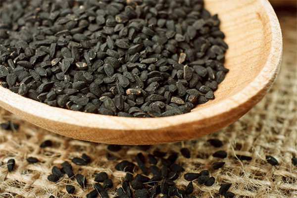 Propriétés bénéfiques du cumin noir