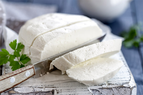 Les bienfaits du fromage adyguéen pour la perte de poids