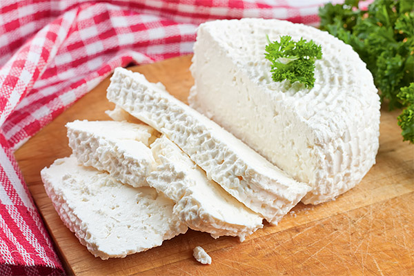 Bienfaits et méfaits du fromage adyguéen