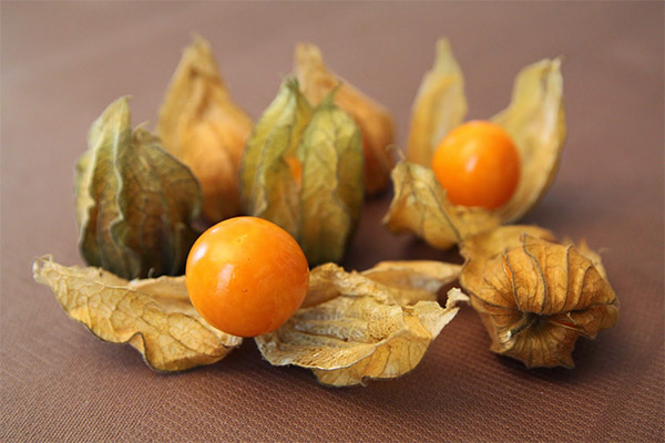 Bienfaits et méfaits du physalis