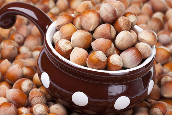 Nutzen und Schaden der Haselnuss