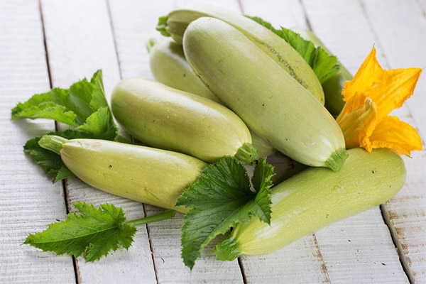 Nutzen und Schaden von Zucchini