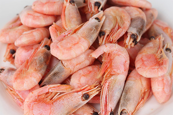 Bienfaits et méfaits des crevettes