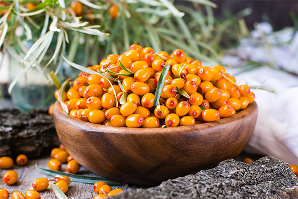 Rezepte der traditionellen Medizin auf Basis von Sanddorn