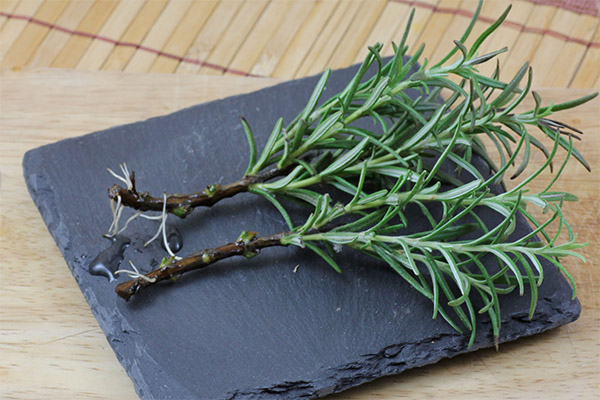 Le romarin en cuisine