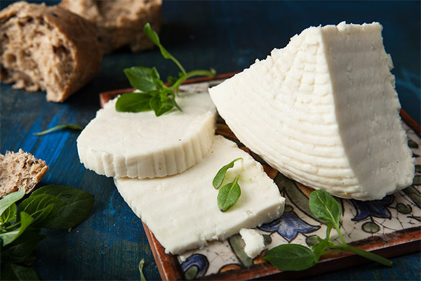 Avec quoi manger le fromage adyguéen