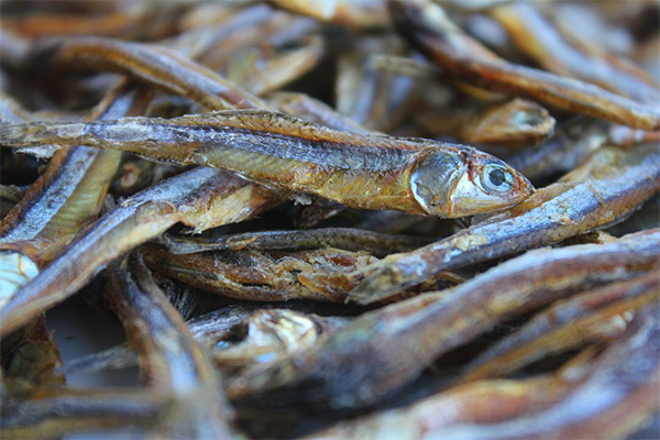 Le poisson séché et le poisson salé-séché en médecine
