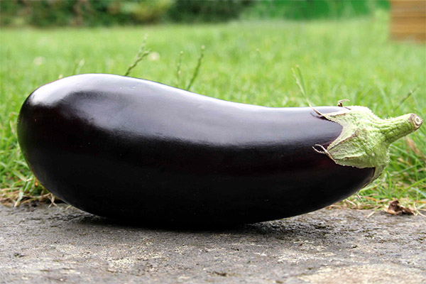 Les aubergines en médecine