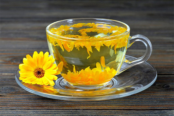 Tisane de calendula