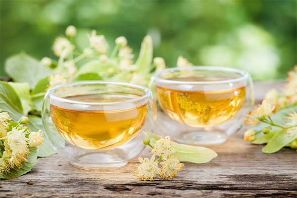 La tisane de tilleul en médecine