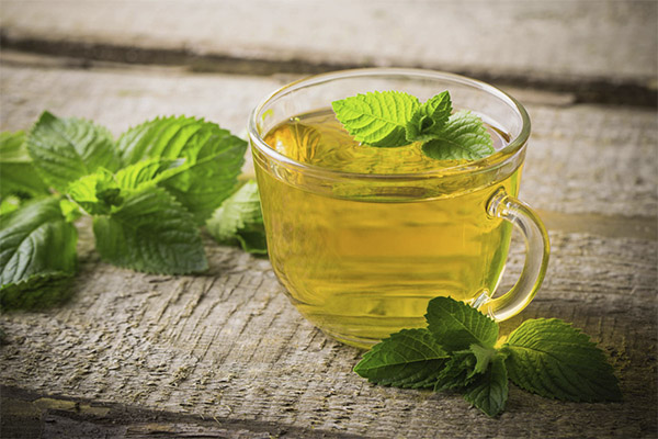 Tisane à la menthe