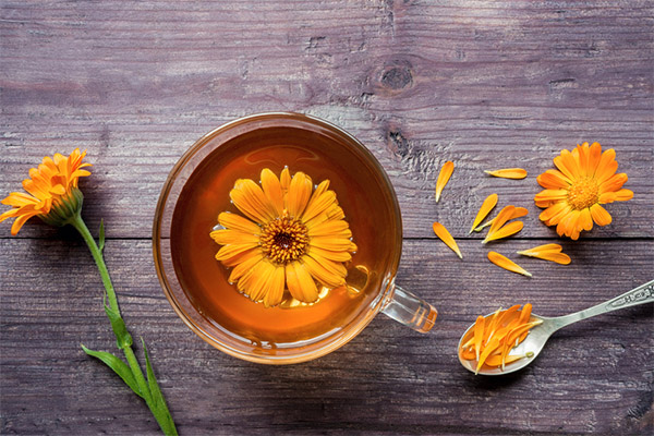 En quoi la tisane de calendula est-elle bénéfique
