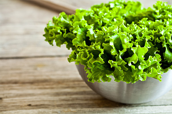 En quoi la salade verte est-elle bénéfique