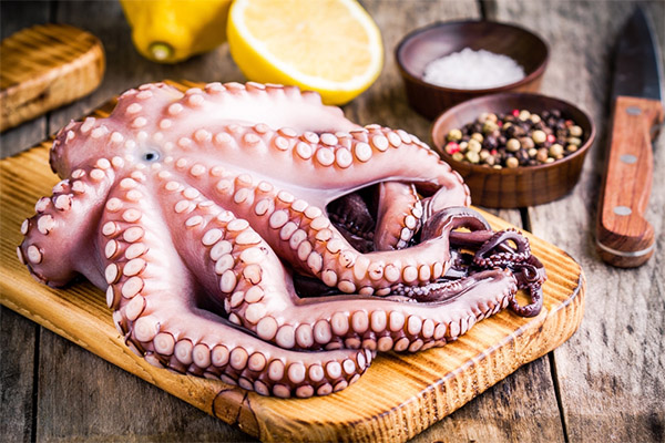 Wie nützlich ist der Oktopus?