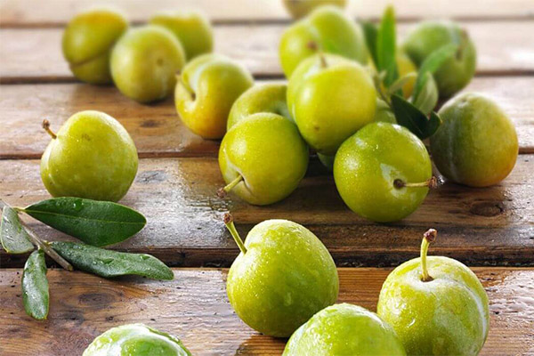Quels sont les bienfaits de la prune cerise verte