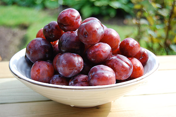 Bienfaits des prunes
