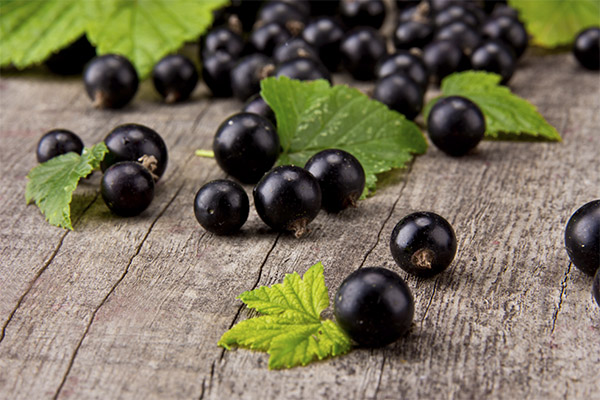 Le cassis en cosmétologie