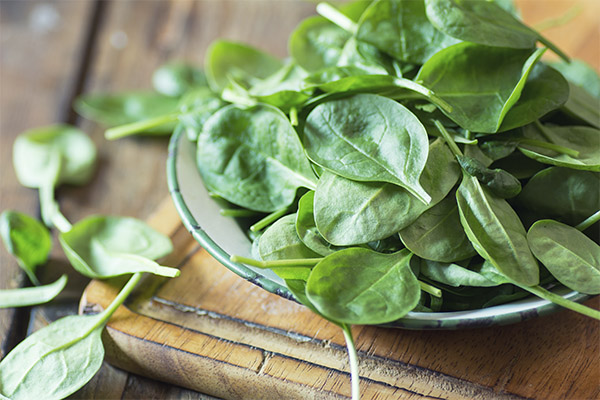 Que peut-on cuisiner avec des épinards