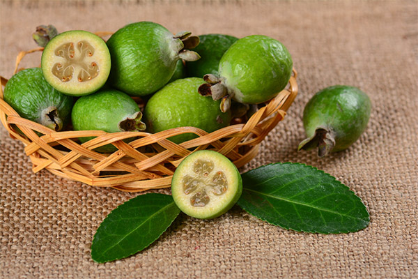 Feijoa in der Medizin