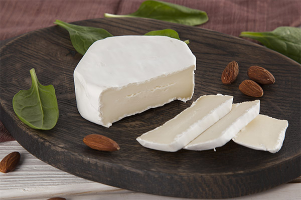Faits intéressants sur le fromage à moisissure