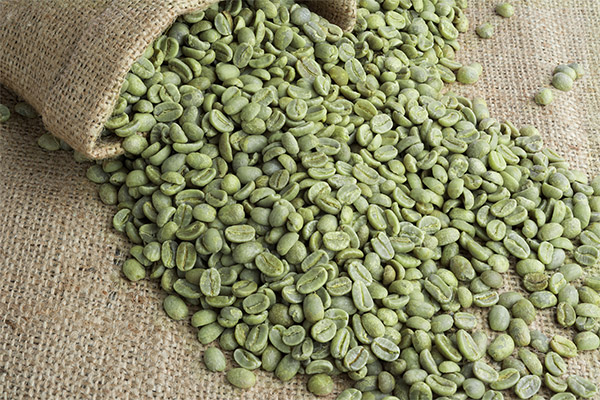 Faits intéressants sur le café vert