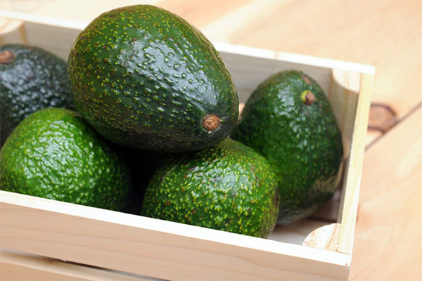 Comment conserver l'avocat