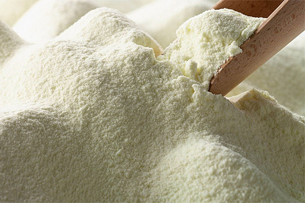 Comment bien diluer le lait en poudre