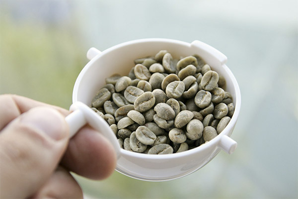 Comment bien infuser le café vert