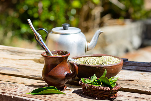Comment infuser et boire correctement le thé maté