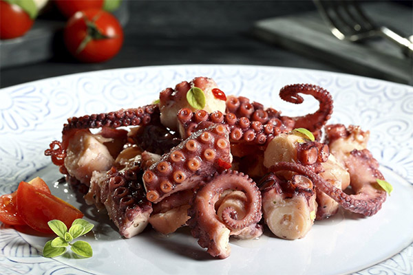Wie bereitet man Oktopus zu?