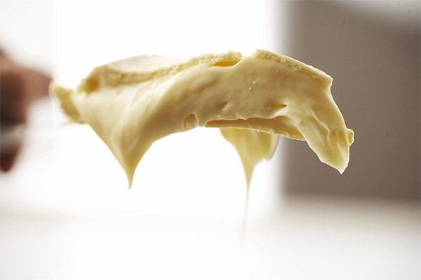 Comment faire fondre le fromage fondu