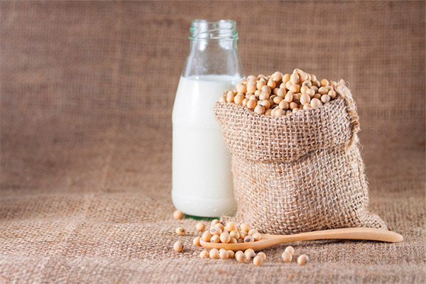 Comment choisir et conserver le lait de soja