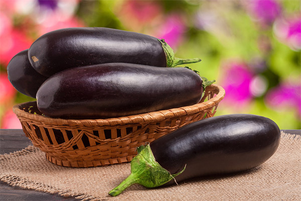 Comment choisir et conserver les aubergines