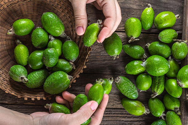 Wie man Feijoa auswählt und lagert