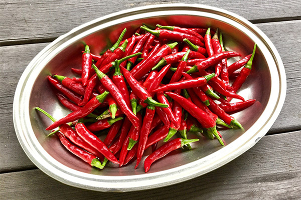 Comment choisir et conserver le piment de Cayenne