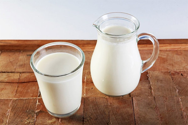 Comment choisir et conserver le lait de chèvre