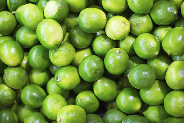 Wie man Limette auswählt und lagert
