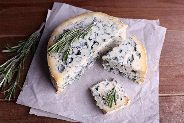 Comment choisir et conserver le fromage à la moisissure