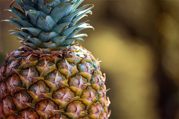 Comment choisir un ananas mûr en magasin