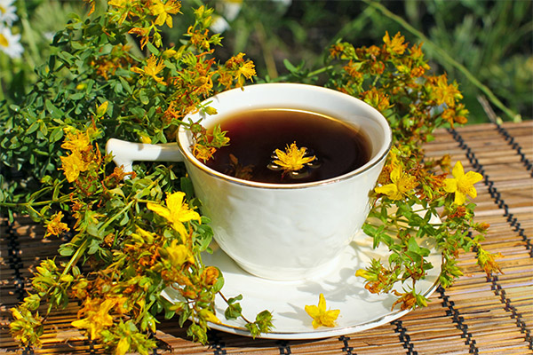 Comment infuser le thé de millepertuis