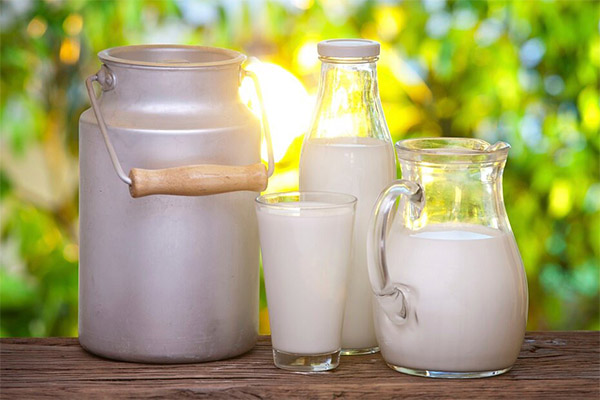 Le lait de chèvre en médecine